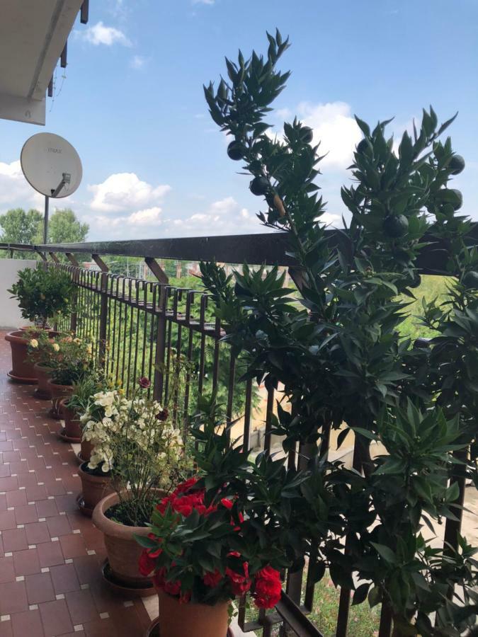 Venice H.S.Garden مارغيرا المظهر الخارجي الصورة